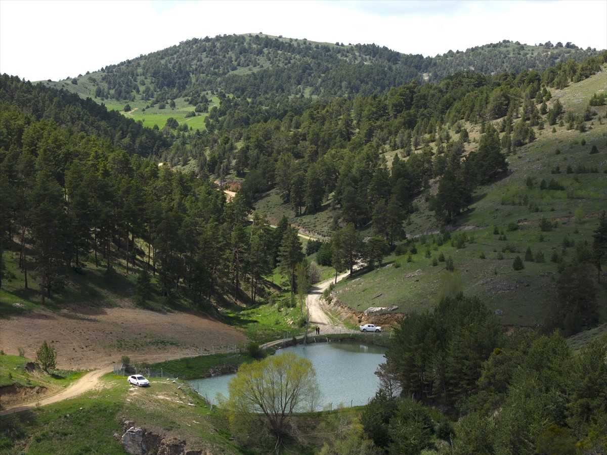 Yozgat'ın Akdağmadeni ilçesinde 1800 rakımda yer alan Çerçialan Göleti, havaların ısınmasıyla...