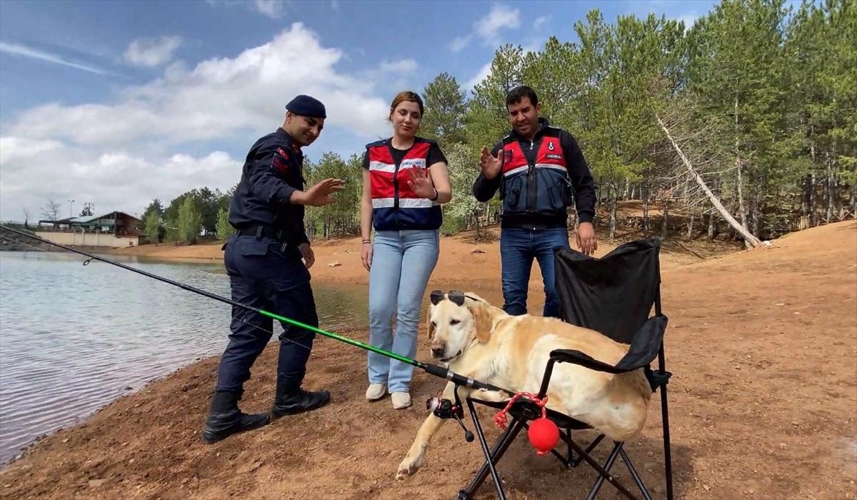 Yozgat İl Jandarma Komutanlığında 13 yıldır görev yapan iz takip köpeği "Dost", emekliye ayrıldı....