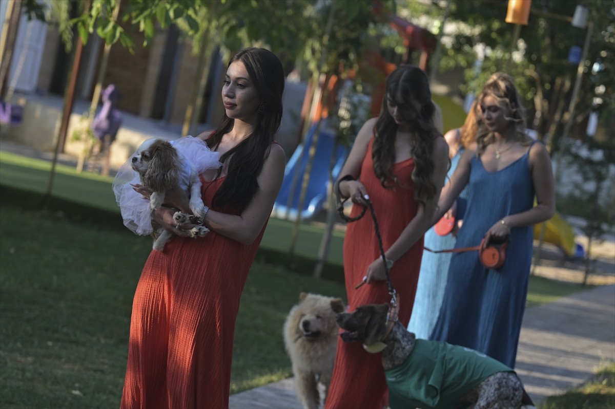 Ankara'da, kaza, doğal afet ve şiddet gibi nedenlerden dolayı engelli olan kedi ve köpekler...