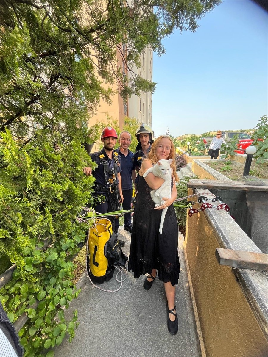 Ankara'nın Çankaya ilçesinde bir sitenin havalandırma boşluğuna düşen kedi, itfaiye ekiplerince...