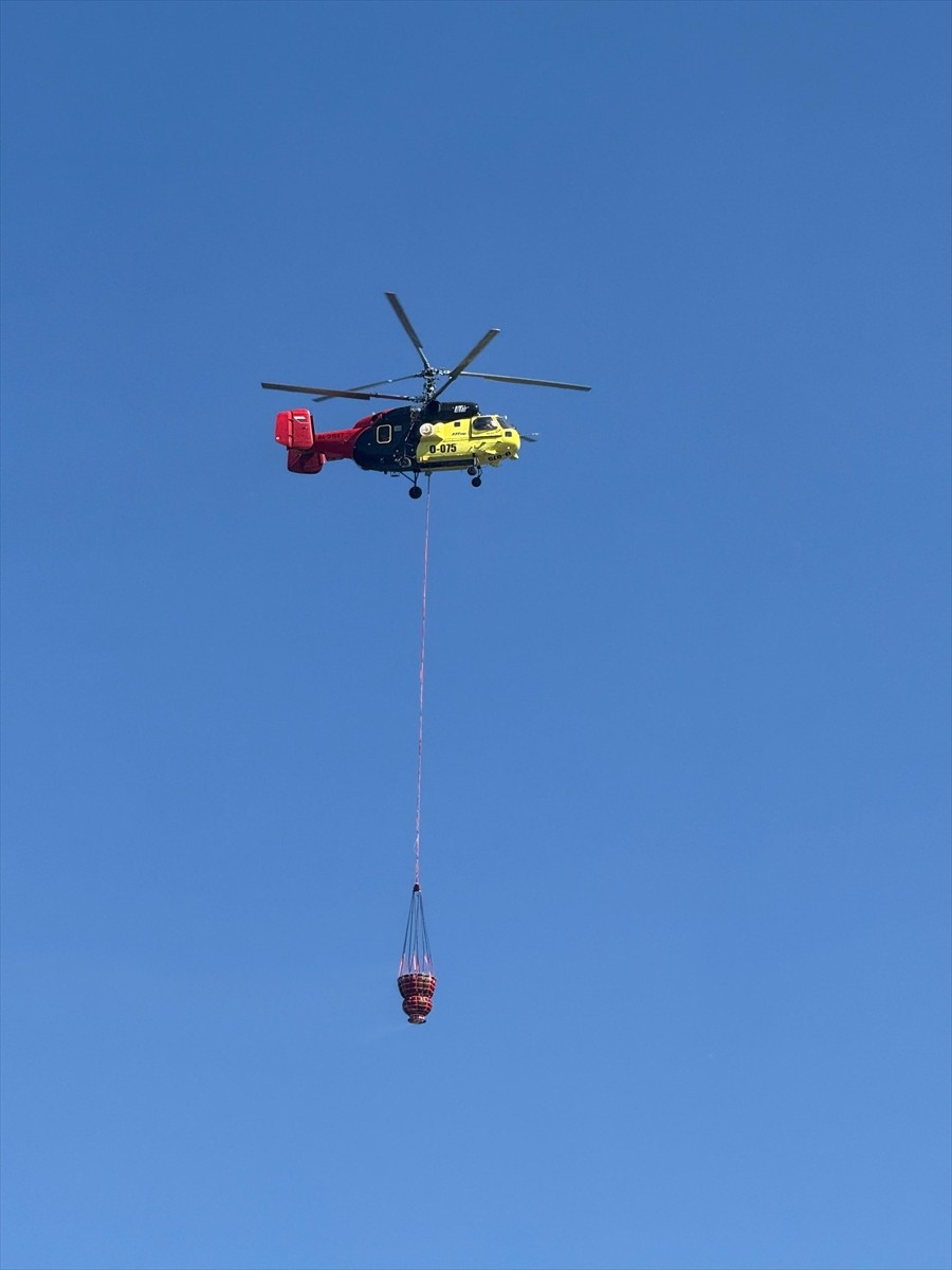 Antalya'nın Gazipaşa ilçesinde çıkan orman yangınına havadan ve karadan müdahale ediliyor.