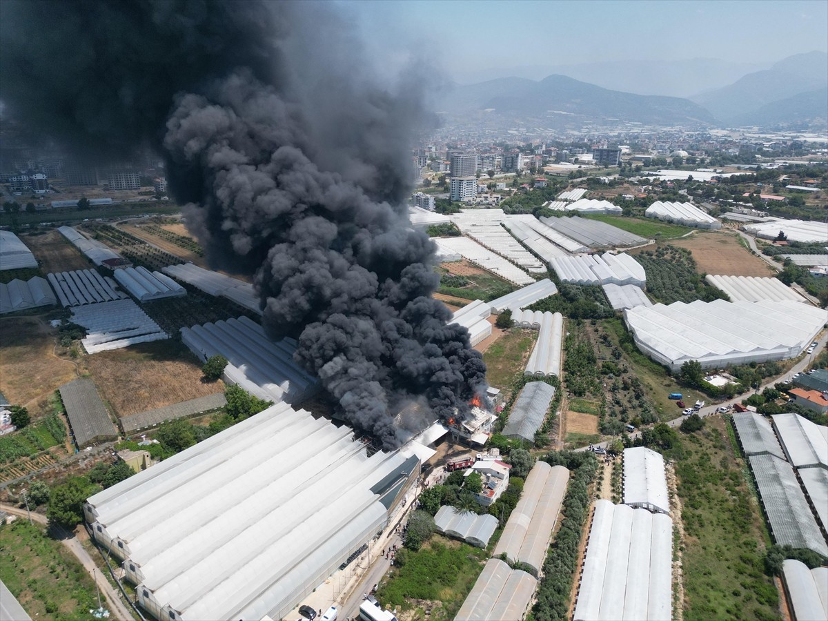 Antalya'nın Gazipaşa ilçesinde fide üretim tesisinde çıkan yangına müdahale ediliyor.