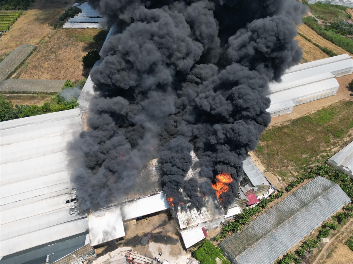 Antalya'nın Gazipaşa ilçesinde fide üretim tesisinde çıkan yangına müdahale ediliyor.