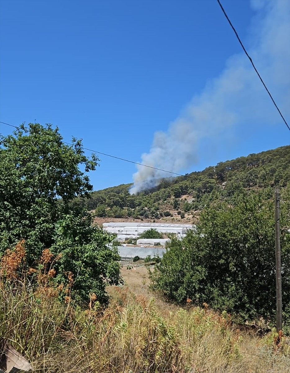 Antalya'nın Kumluca ilçesinde çıkan orman yangını, havadan ve karadan müdahaleyle kontrol altına...