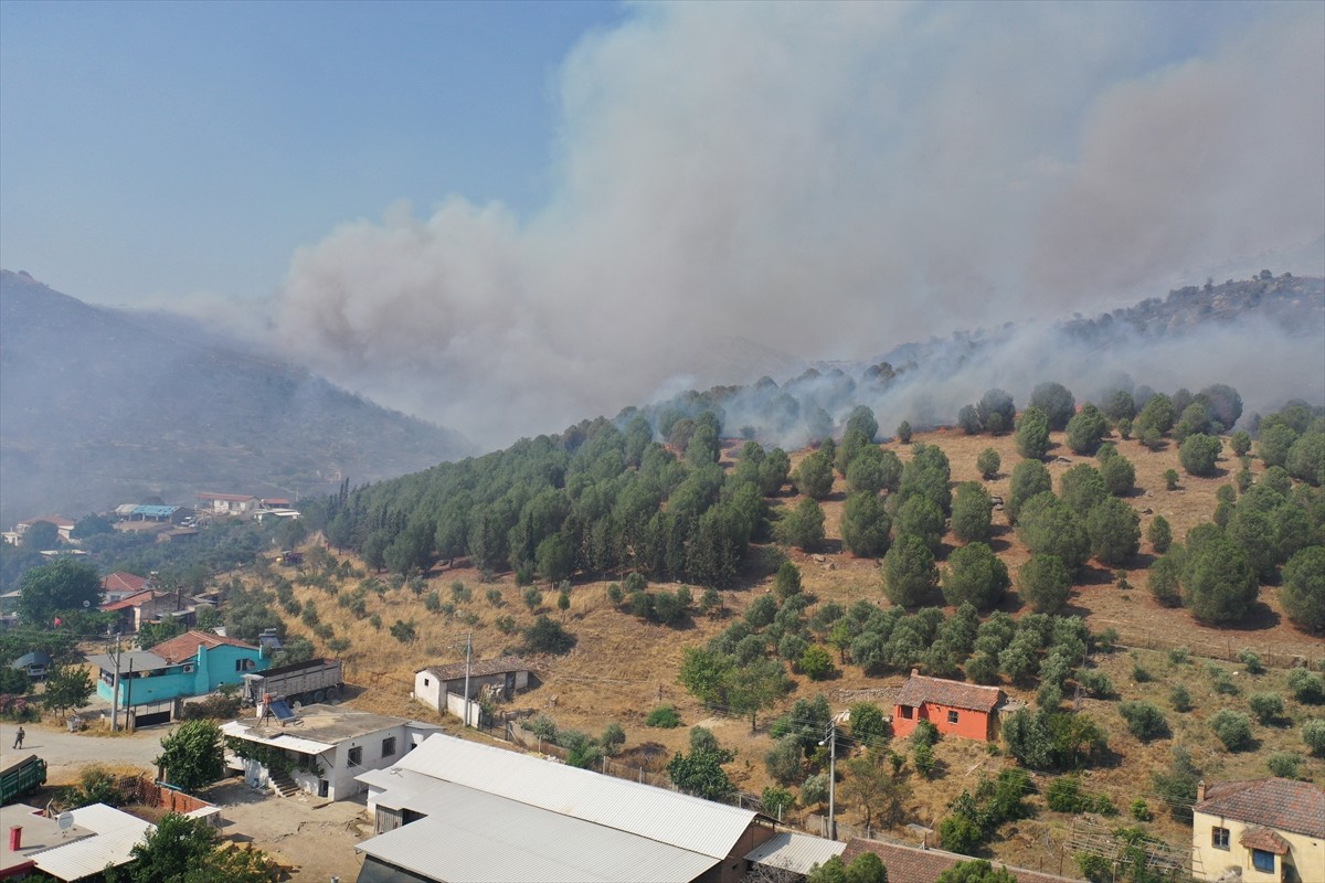 Aydın'ın Efeler ilçesinde ziraat alanı ve makilikteki yangına havadan ve karadan müdahale...