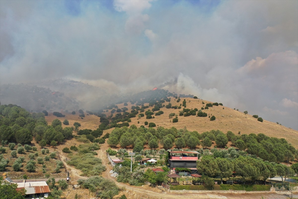 Aydın'ın Efeler ilçesinde ziraat alanı ve makilikteki yangına havadan ve karadan müdahale...