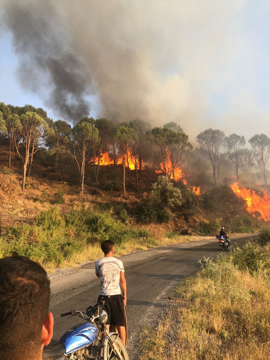 Aydın'ın Koçarlı ilçesinde çam fıstığı ağaçlarının bulunduğu kısımda çıkan yangında 2 hektarlık...