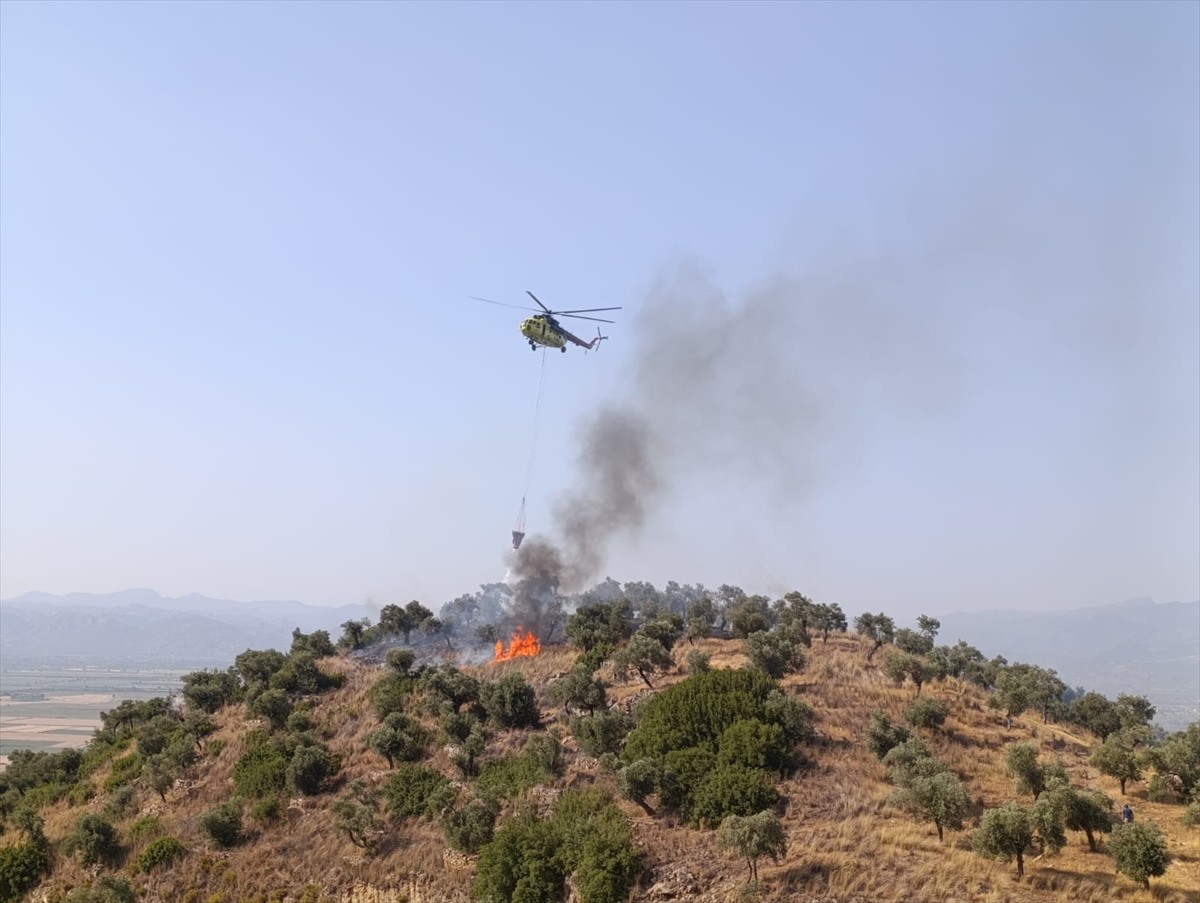 Aydın'ın Koçarlı ilçesinde çıkan yangında zeytin ağaçlarının bulunduğu 30 dekarlık alan zarar...