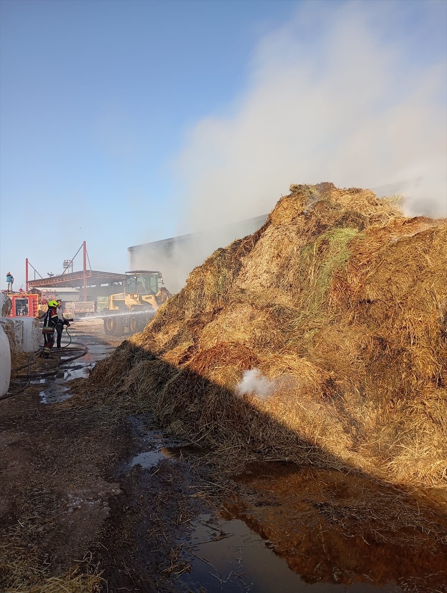 Balıkesir'in Burhaniye ilçesinde bir tarım işletmesinde samanların bulunduğu alanda çıkan yangın...