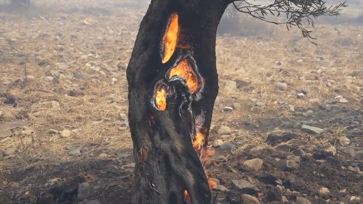 Balıkesir'in Edremit ilçesinde çöplük alanda başlayan yangın, şiddetli rüzgarın etkisiyle...