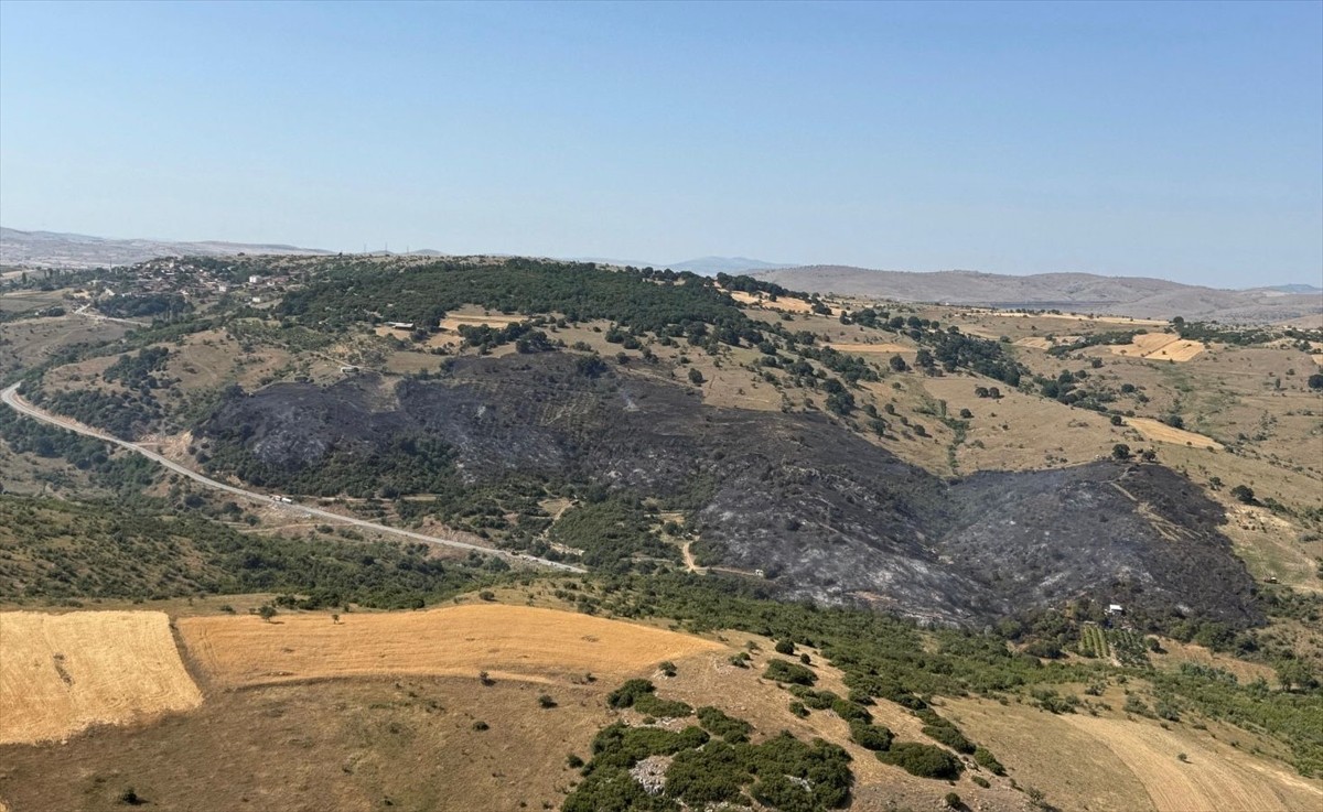 Balıkesir'in Karesi ilçesinde arazide çıkan yangın, havadan ve karadan müdahalelerle kontrol...