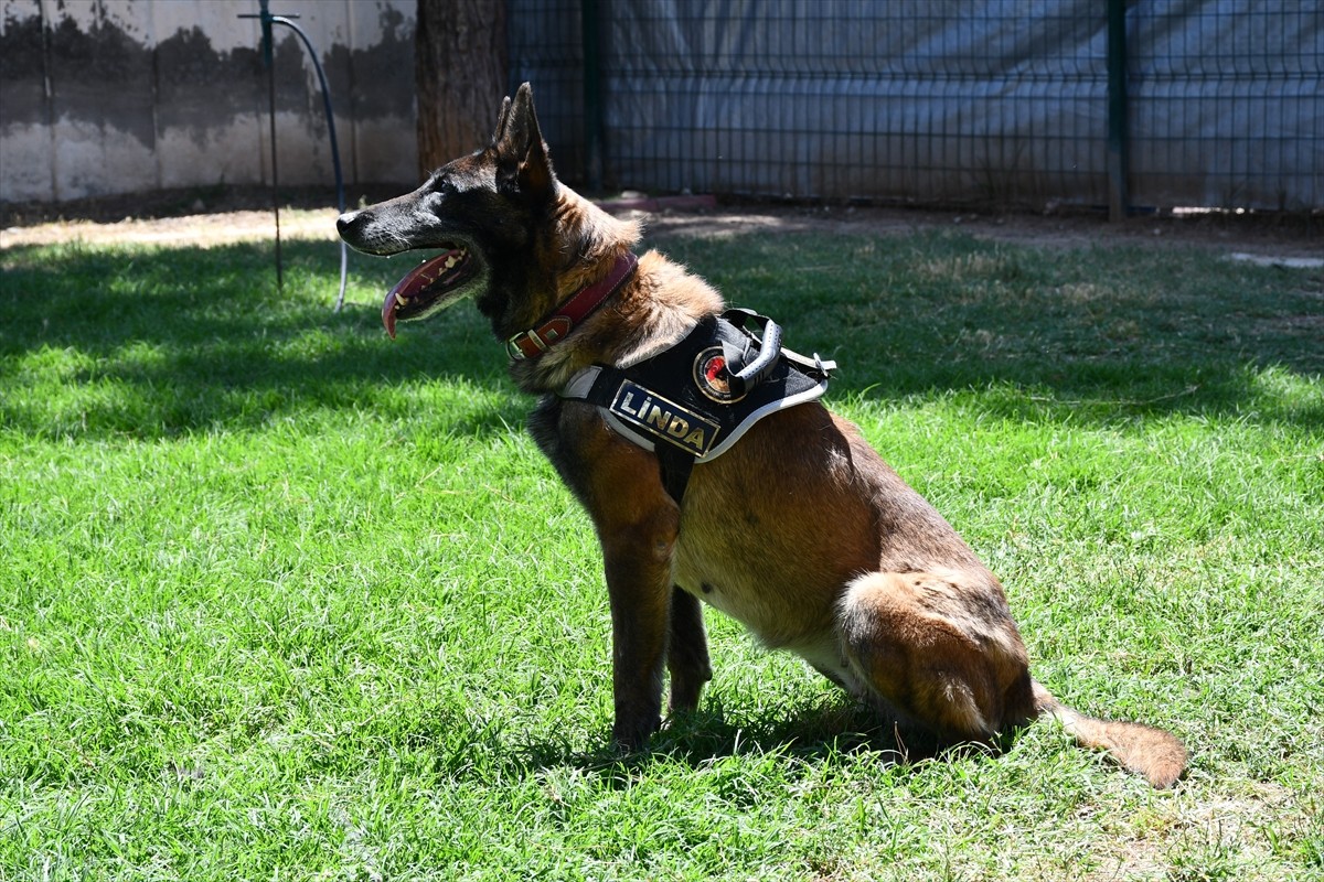 Batman'da İl Emniyet Müdürlüğü bünyesinde görev aldığı 5 yılda 365 kilogram uyuşturucunun...