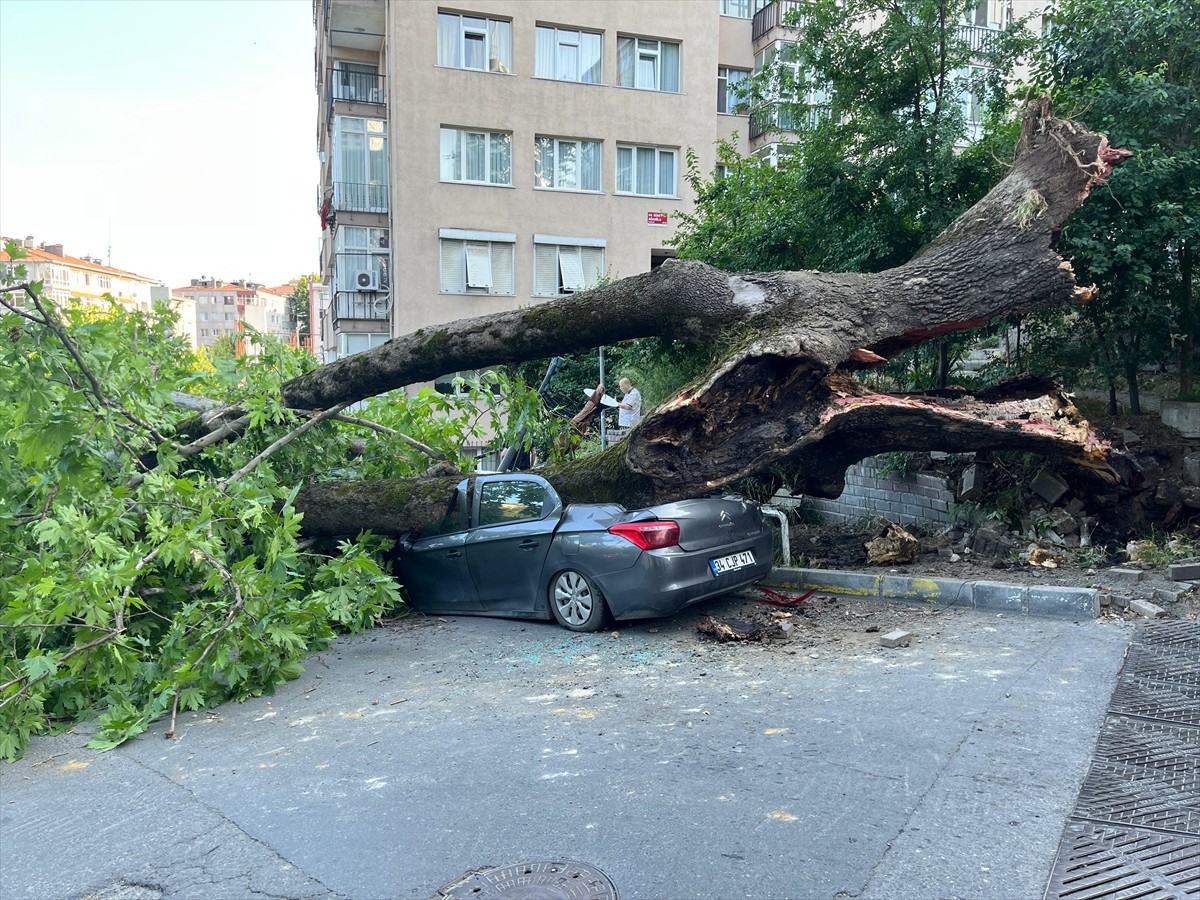 Beşiktaş'ta Türkali Mahallesi Nüzhetiye Caddesi'nde, üzerine ağaç devrilen 3 araç hasar...