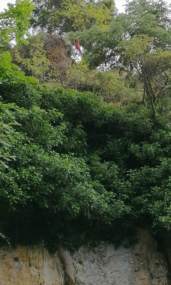  Burdur'un Bucak ilçesinde kayalıklardan düşen kadın yaşamını yitirdi.