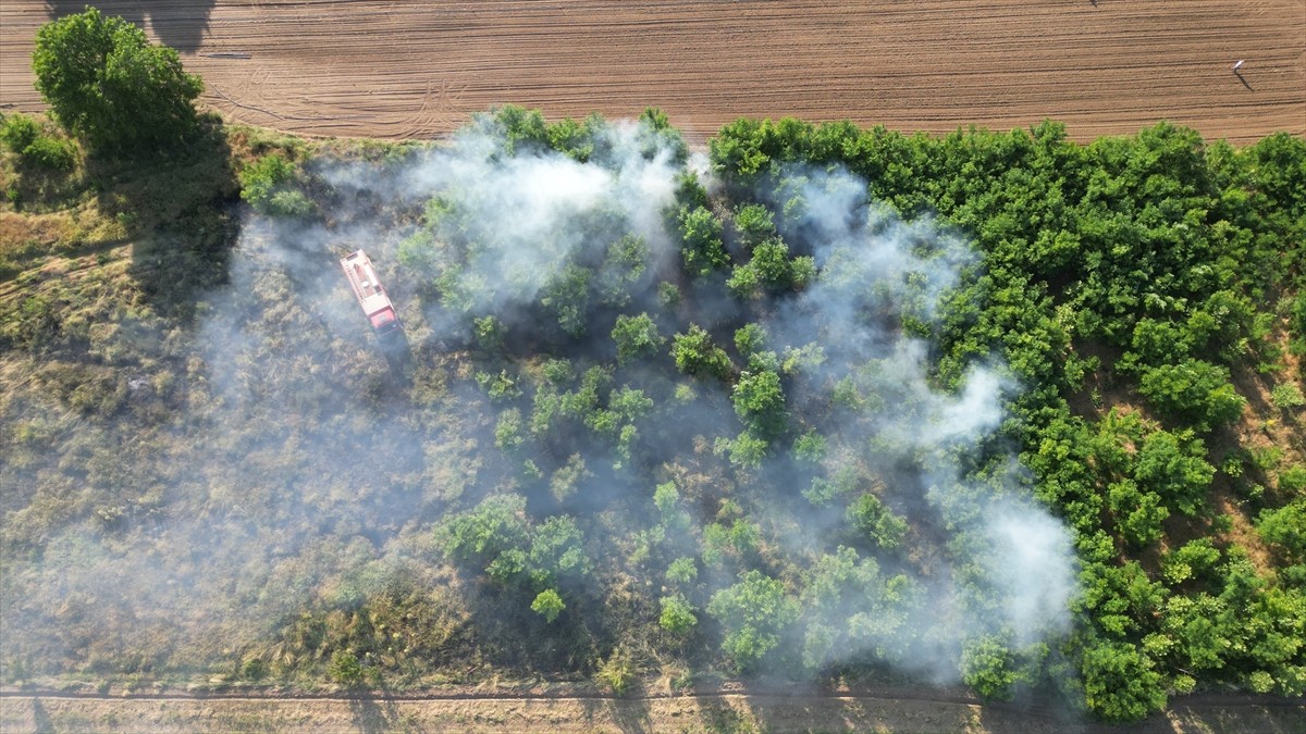 Bursa'nın İnegöl ilçesinde çalılık alanda çıkan yangın söndürüldü.