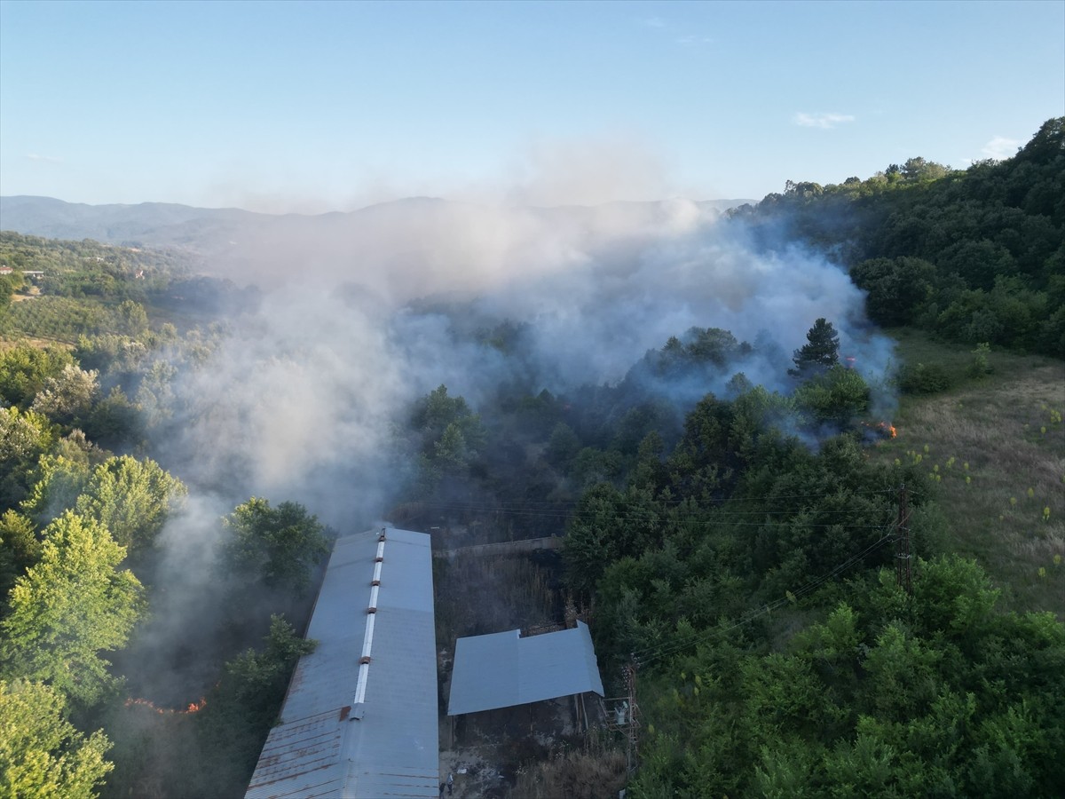 Bursa'nın İnegöl ilçesinde merada çıkan yangın ormanlık alana sıçramadan söndürüldü.