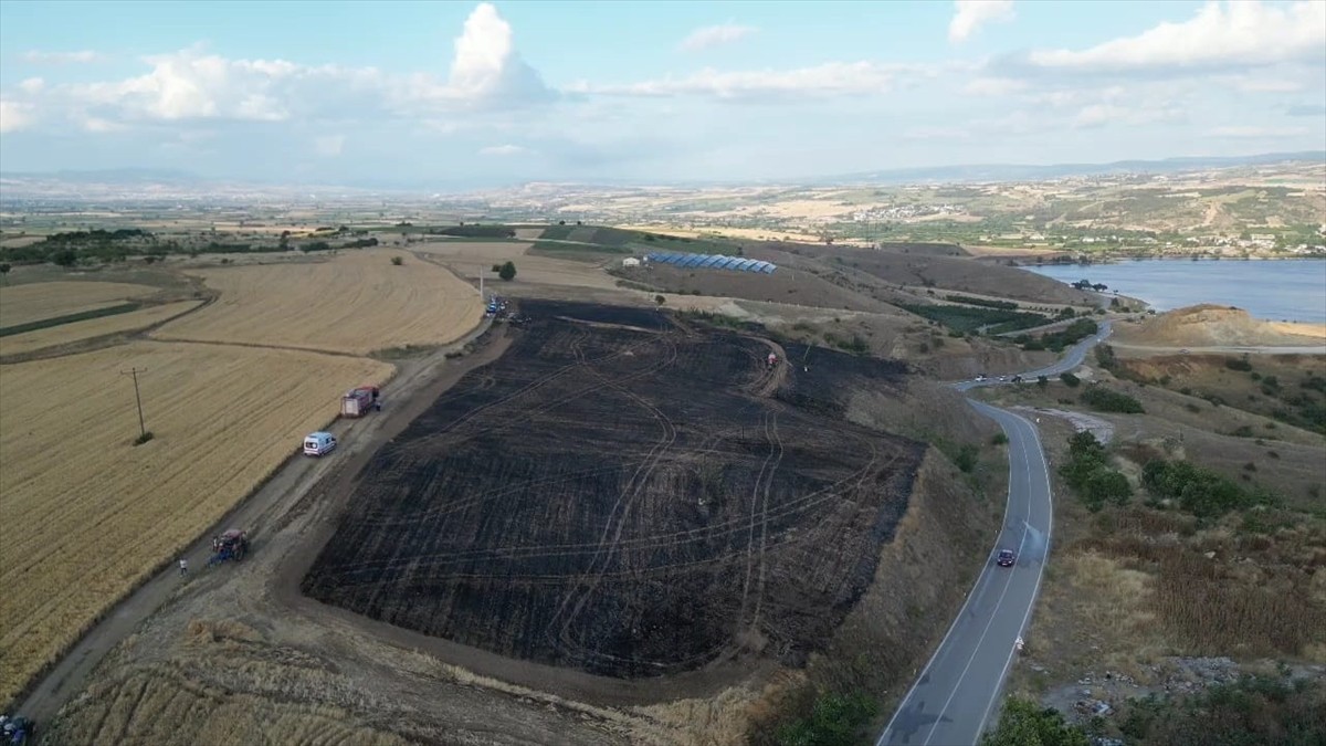 Bursa'nın İnegöl ilçesinde otluk alanda başlayan ve daha sonra buğday tarlasına sıçrayan yangın...