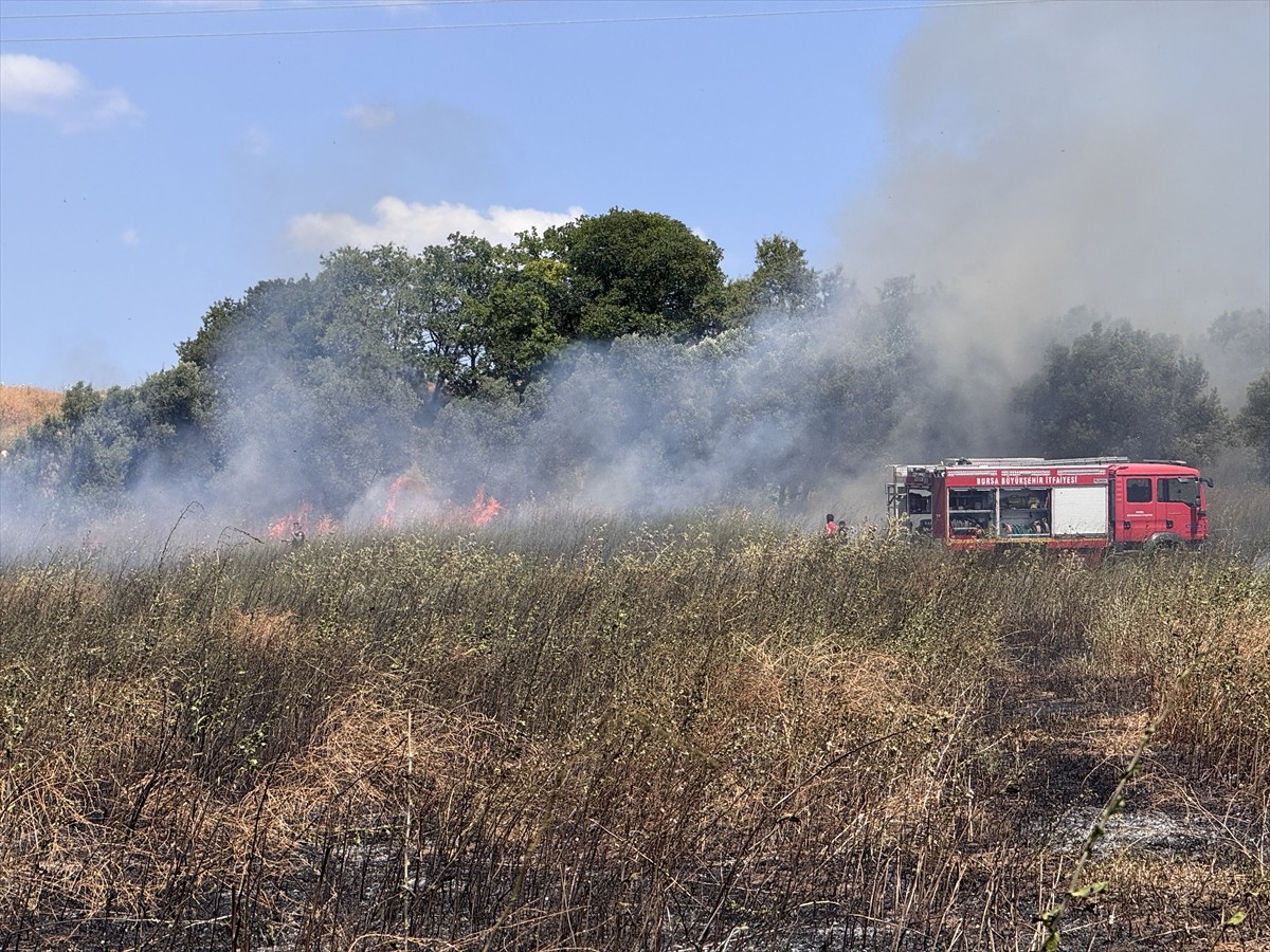Bursa'nın Nilüfer ilçesinde buğday tarlasından zeytinliğe sıçrayan yangın söndürüldü.