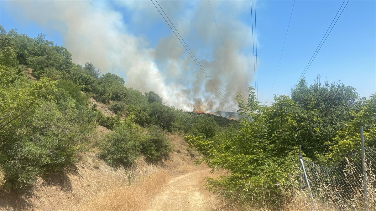 Bursa'nın Yenişehir ilçesinde çıkan orman yangını havadan ve karadan müdahaleyle kontrol altına...