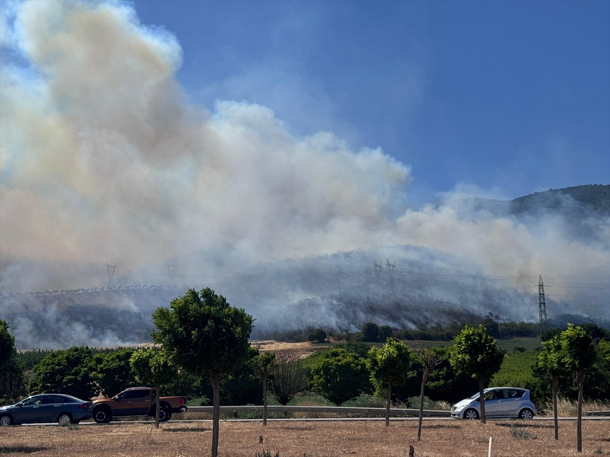 Bursa'nın Yenişehir ilçesinde çıkan orman yangını havadan ve karadan müdahaleyle kontrol altına...