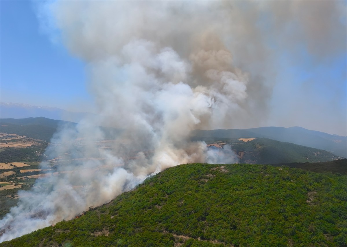 Bursa'nın Yenişehir ilçesinde çıkan orman yangını havadan ve karadan müdahaleyle kontrol altına...