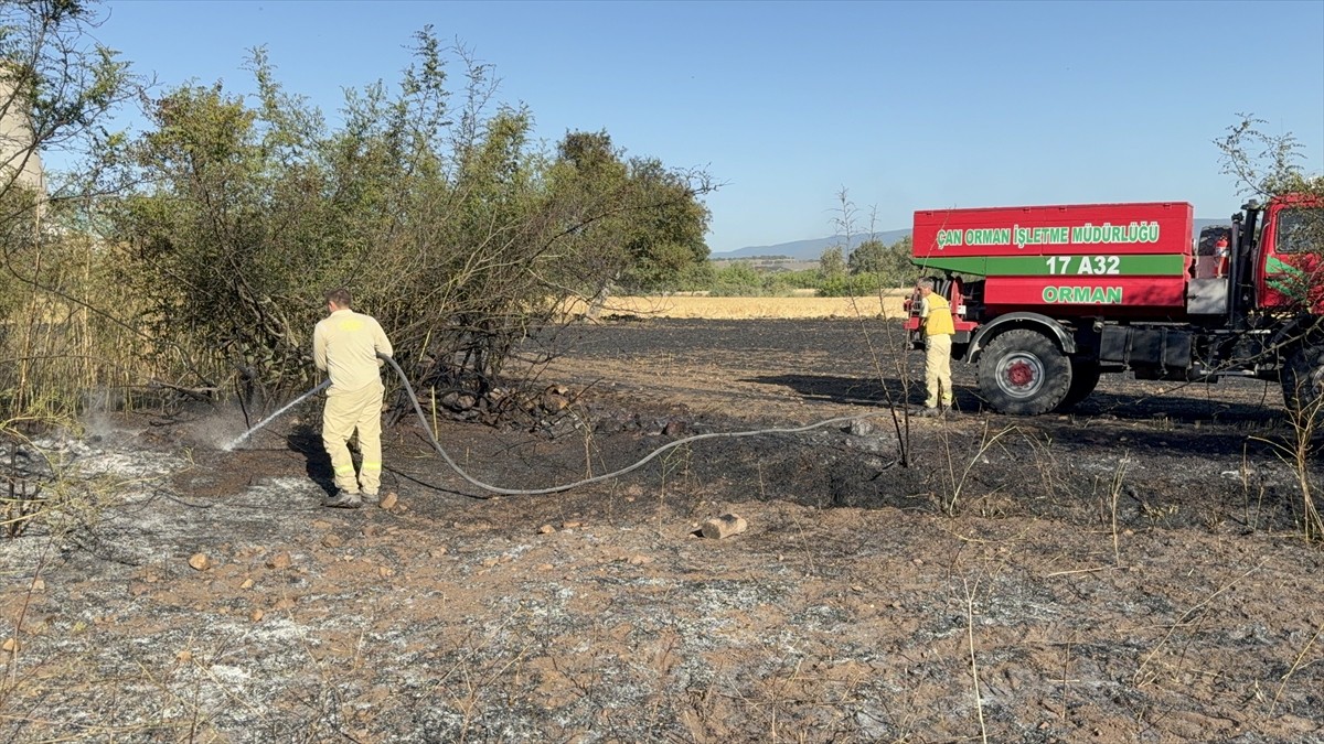 Çanakkale'nin Çan ilçesinde tarım arazisinde çıkan yangın söndürüldü.