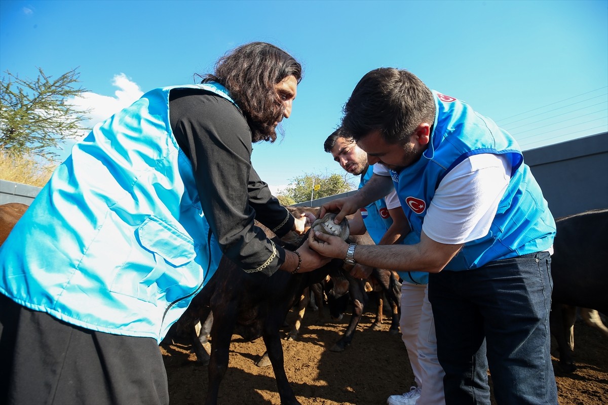 Diyanet İşleri Başkanlığı ve Türkiye Diyanet Vakfının (TDV) "Kurbanını paylaş, kardeşinle...