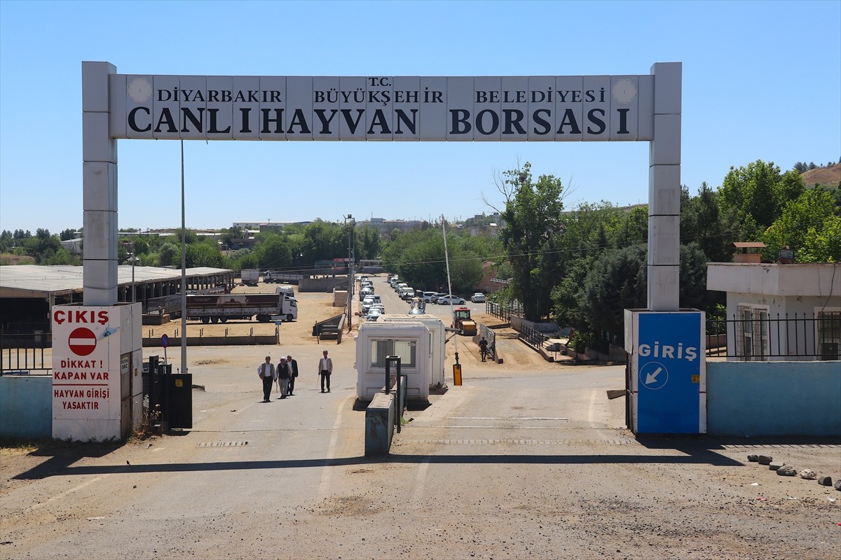  Diyarbakır'da, Kurban Bayramı dolayısıyla hayvan pazarlarını gezen polis ekipleri, satıcıları...