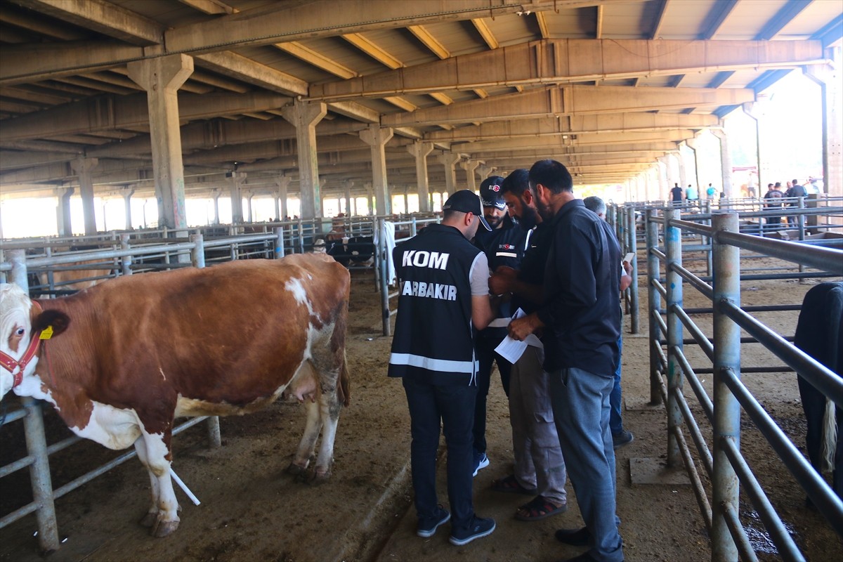 Diyarbakır'da, Kurban Bayramı dolayısıyla hayvan pazarlarını gezen polis ekipleri, satıcıları...
