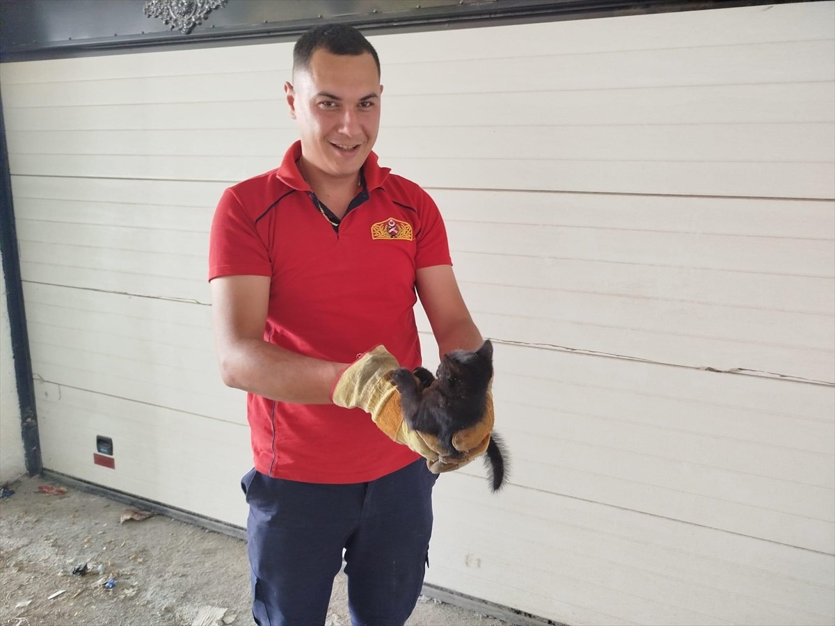 Erzincan'da otomobilin motor bölümüne sıkışan 2 kedi yavrusu itfaiye ekiplerince kurtarıldı.