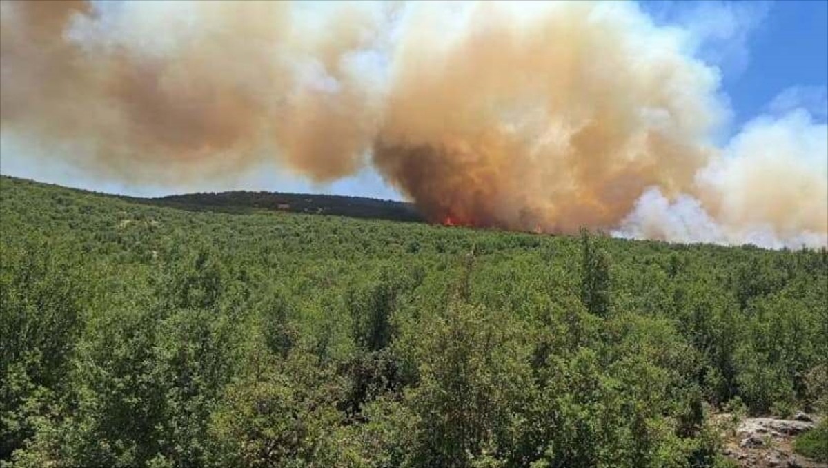 Gaziantep'in Nurdağı ilçesinde çıkan orman yangınına müdahale ediliyor.