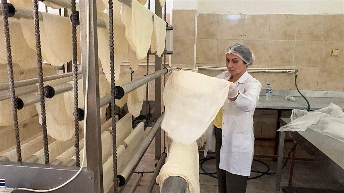 Giresun'un Bulancak ilçesinde yufka imalathanesi işleten iki çocuk annesi Nesrin Güngör, 7'si...