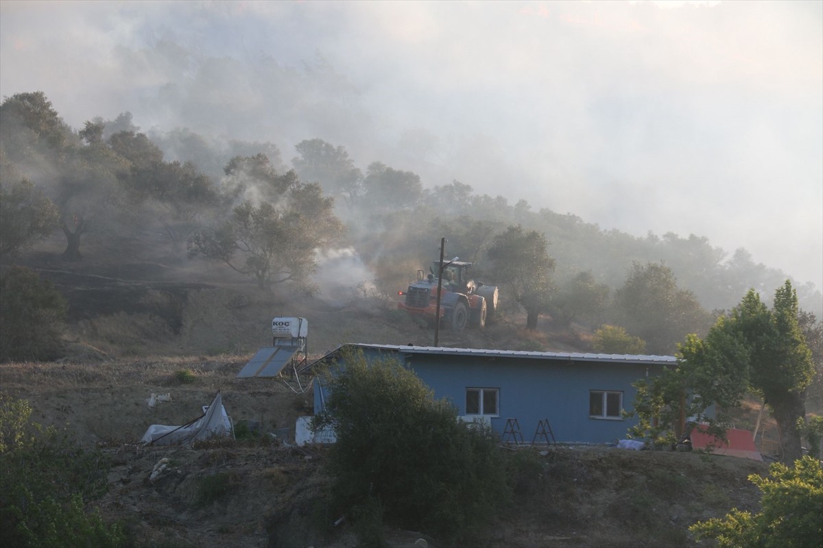 Hatay'ın Belen ilçesinde zeytinlik alanda çıkan yangın, ekiplerin müdahalesiyle kontrol altına...