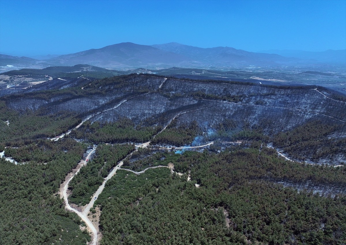 İzmir'in Aliağa ilçesinde başlayıp Foça'ya sıçrayan orman yangınında zarar gören alan havadan...