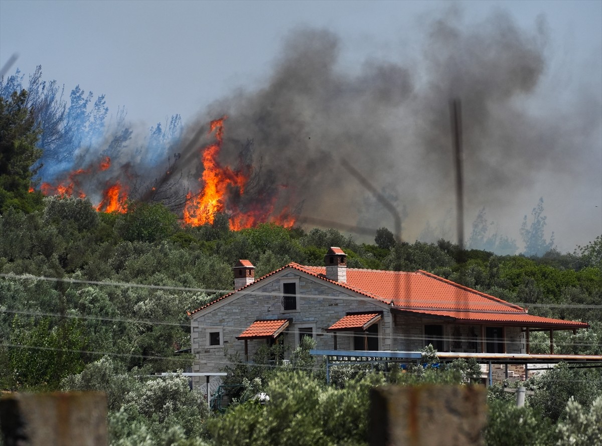 İzmir'in Foça ilçesindeki ormanlık alanda çıkan yangın, havadan ve karadan müdahaleyle...