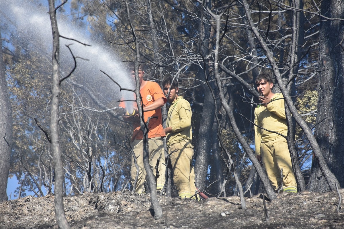 İzmir'in Kemalpaşa ilçesinde çıkan orman yangını, havadan ve karadan müdahaleyle söndürüldü....