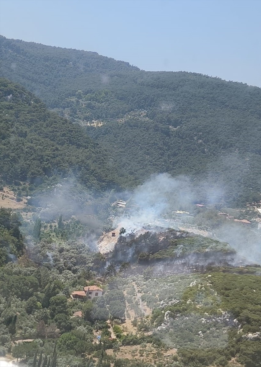 İzmir'in Kemalpaşa ilçesinde çıkan orman yangınına havadan ve karadan müdahale ediliyor.