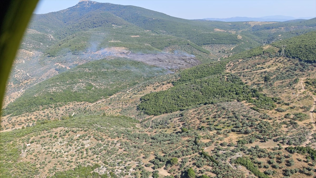 İzmir'in Torbalı ilçesinde çıkan orman yangını havadan ve karadan müdahaleyle kontrol altına...