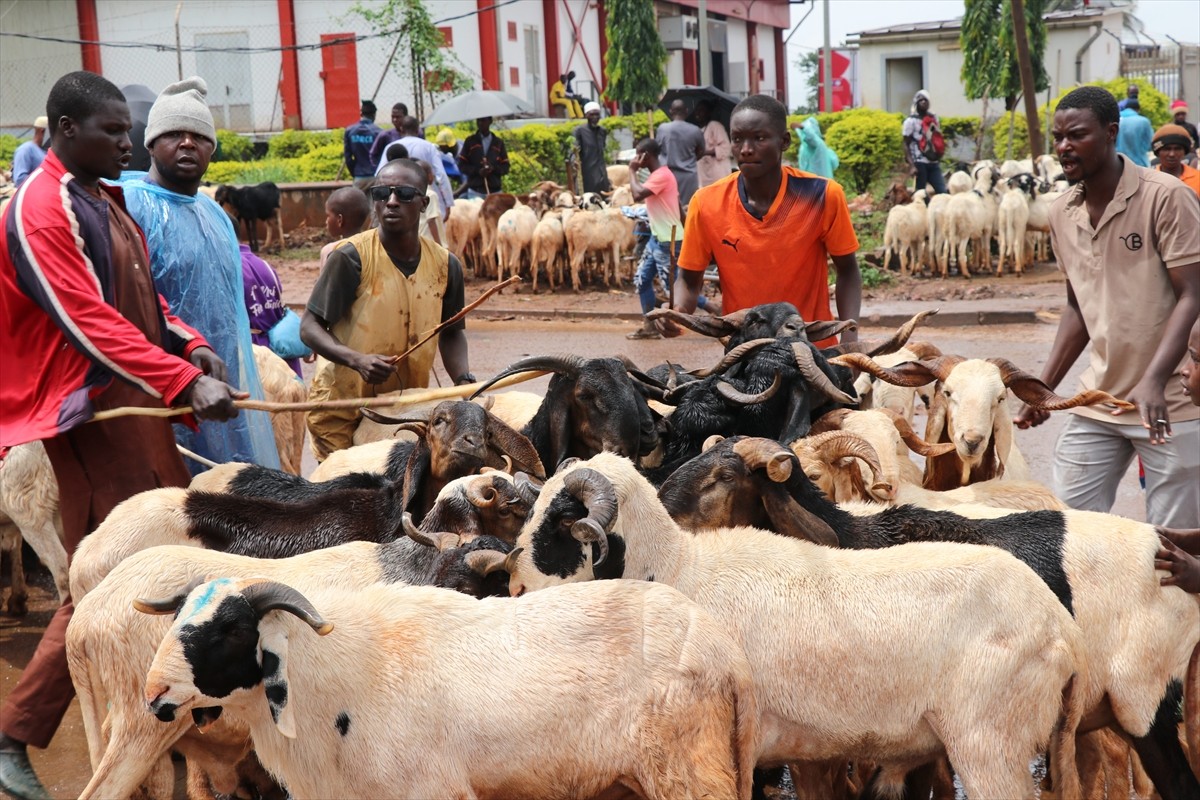 Kamerun'un başkenti Yaounde'de Kurban Bayramı'na sayılı günler kala hayvan pazarlarında...