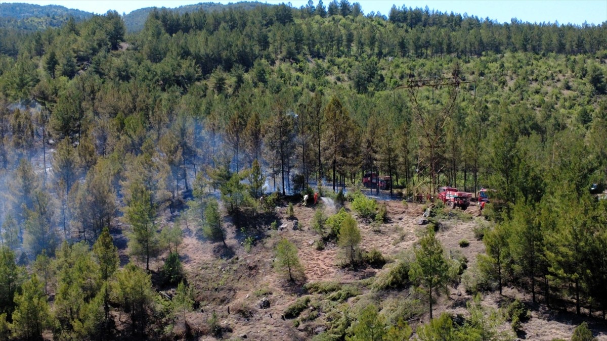 Karabük'te çıkan orman yangınına karadan ve havadan müdahale ediliyor.