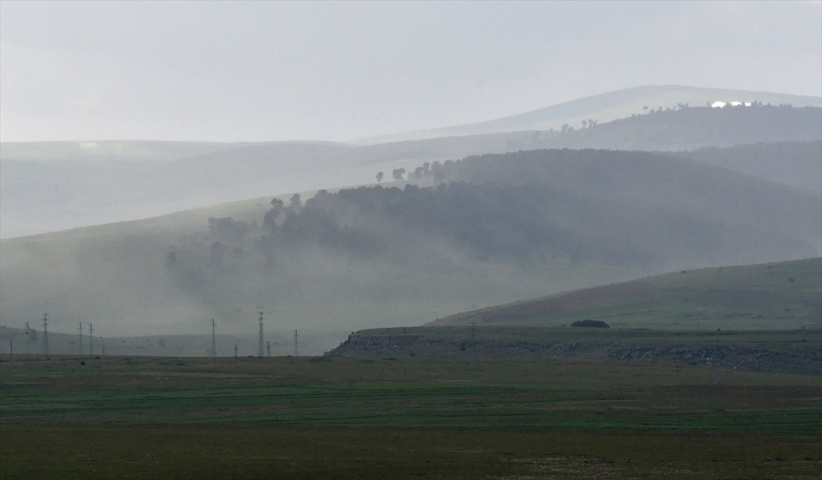 Kars'ın Sarıkamış ilçesinde, Sarıçam ağaçlarının yoğun olduğu 2 bin 500 rakımlı Soğanlı ve 2 bin...
