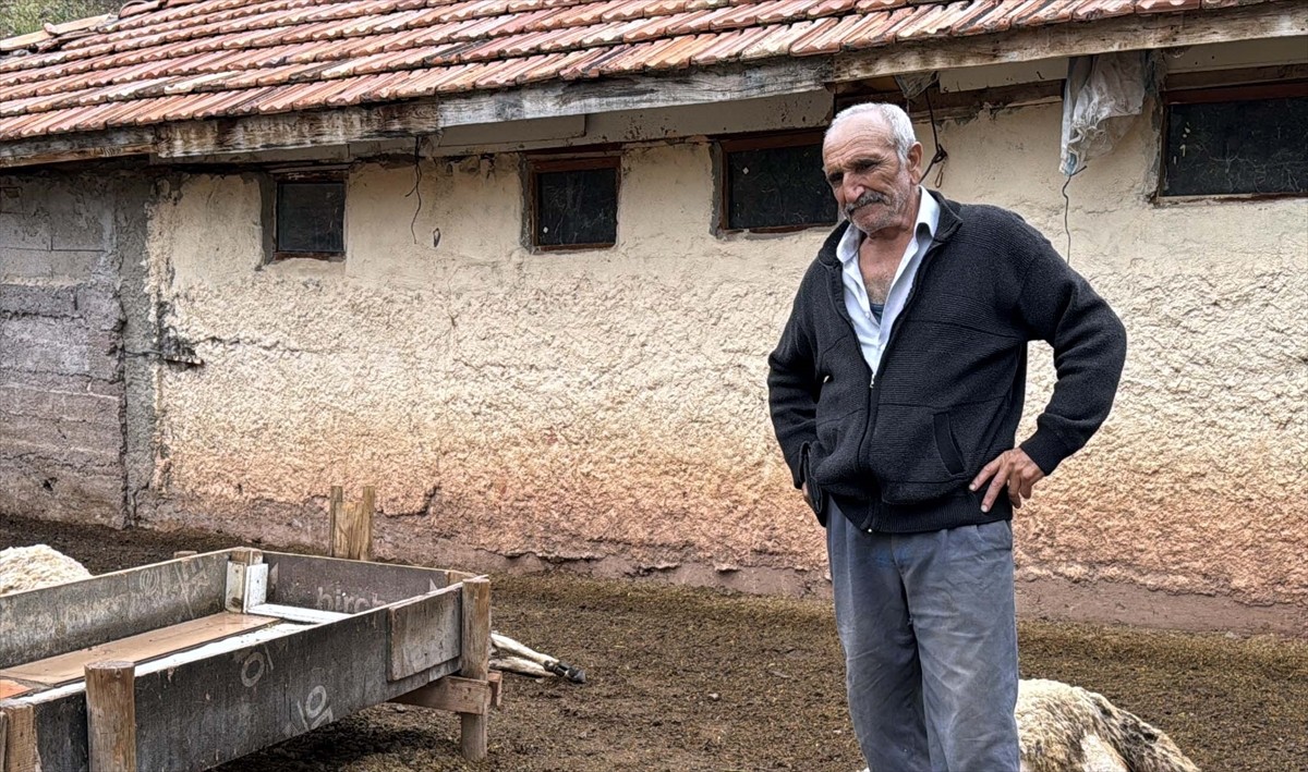 Kırıkkale'nin Yahşihan ilçesinde kurtların saldırısına uğrayan 18 küçükbaş hayvan telef oldu....