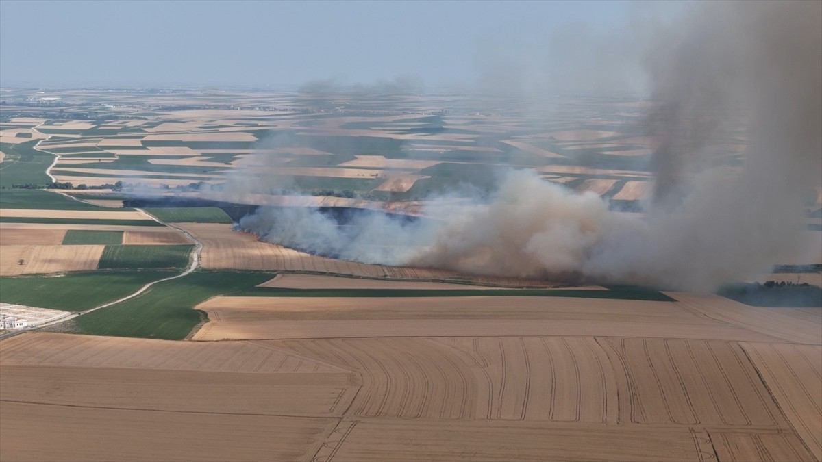Kırklareli'nin Lüleburgaz ilçesinde hasat edilmemiş buğday ve arpa ekili arazide çıkan yangında...