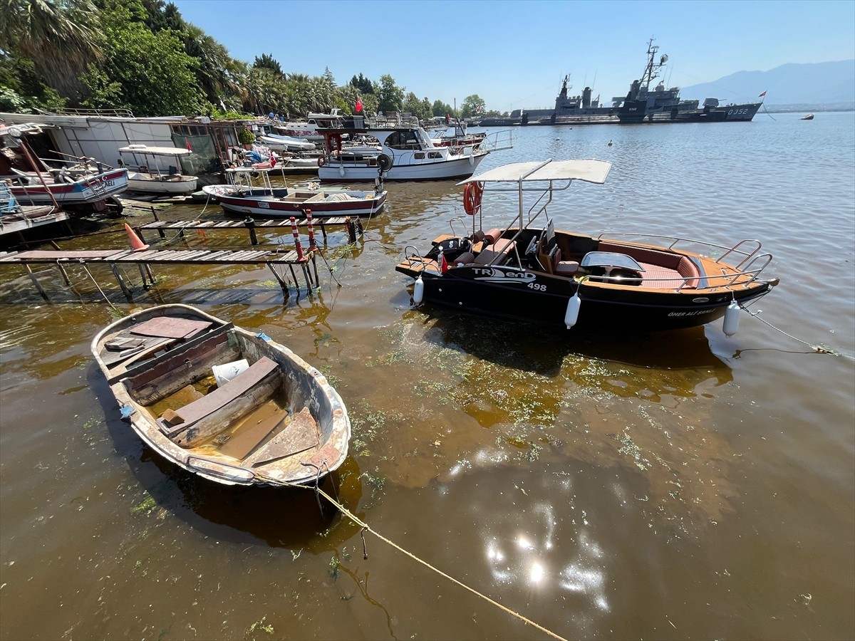 Kocaeli'nin İzmit ilçesindeki marina bölgesinde kıyıya yakın alanda denizin yüzeyinde alg...