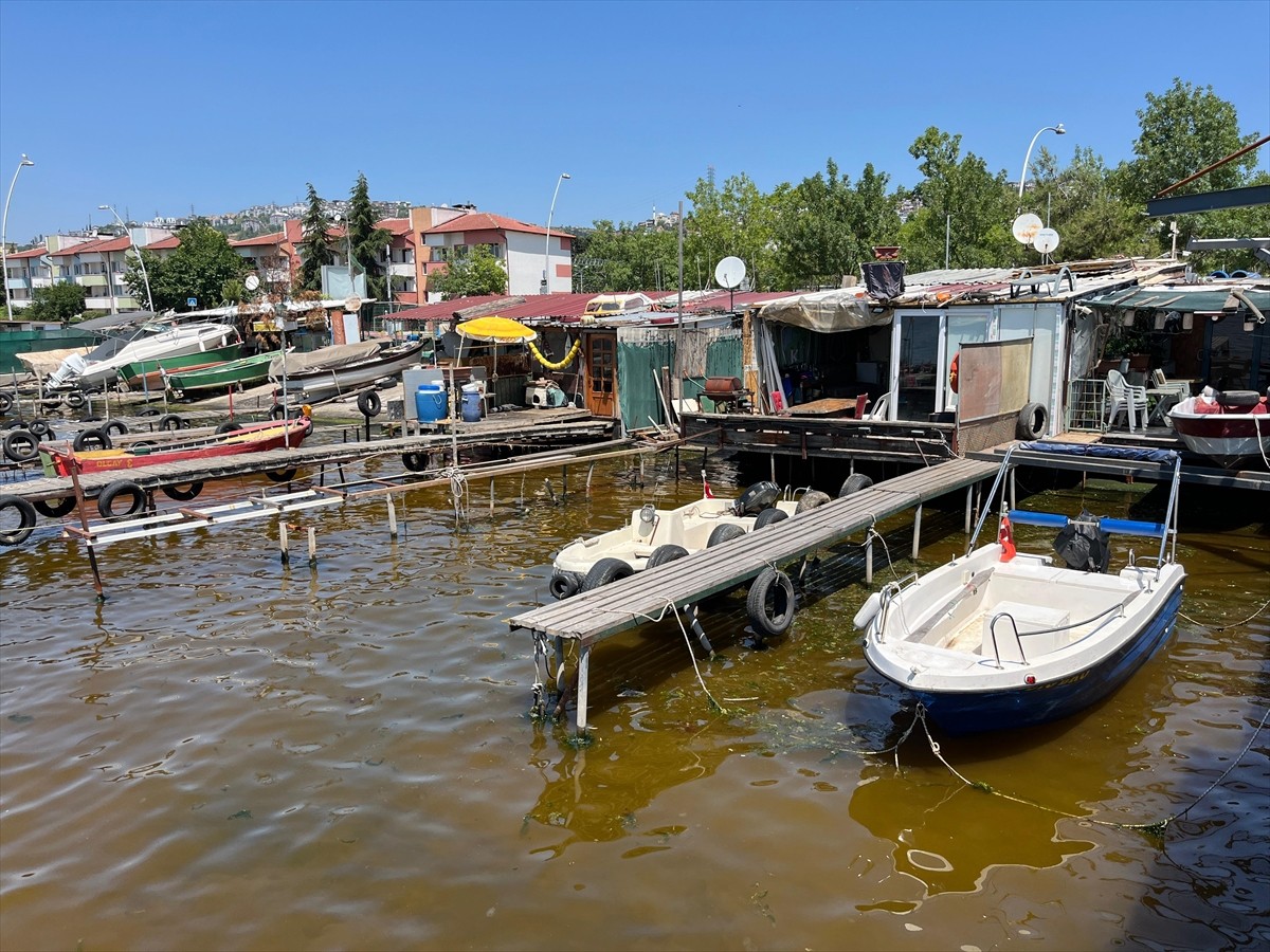 Kocaeli'nin İzmit ilçesindeki marina bölgesinde kıyıya yakın alanda denizin yüzeyinde alg...