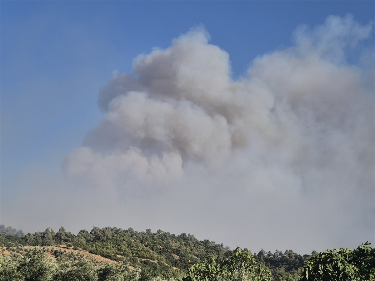 Manisa'nın Ahmetli ilçesinde ormanlık alanda çıkan yangına, havadan ve karadan müdahale...
