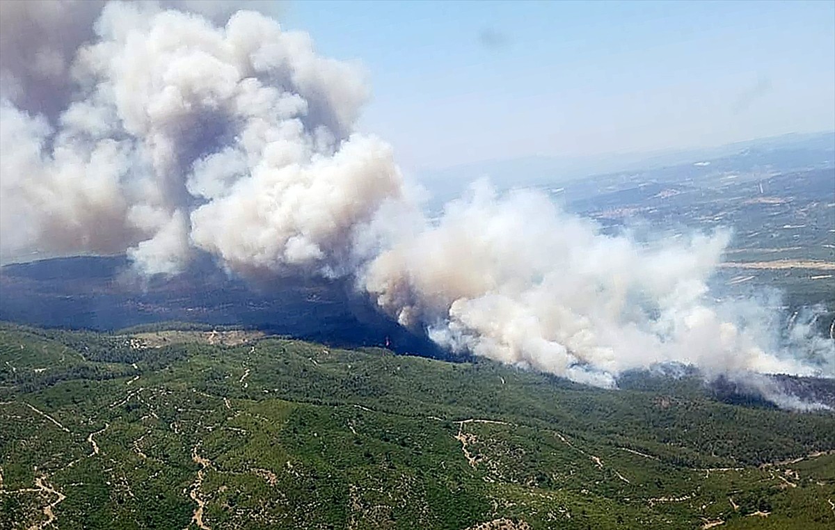Manisa'nın Akhisar ilçesinde çıkan orman yangınına havadan ve karadan müdahale devam etti. 