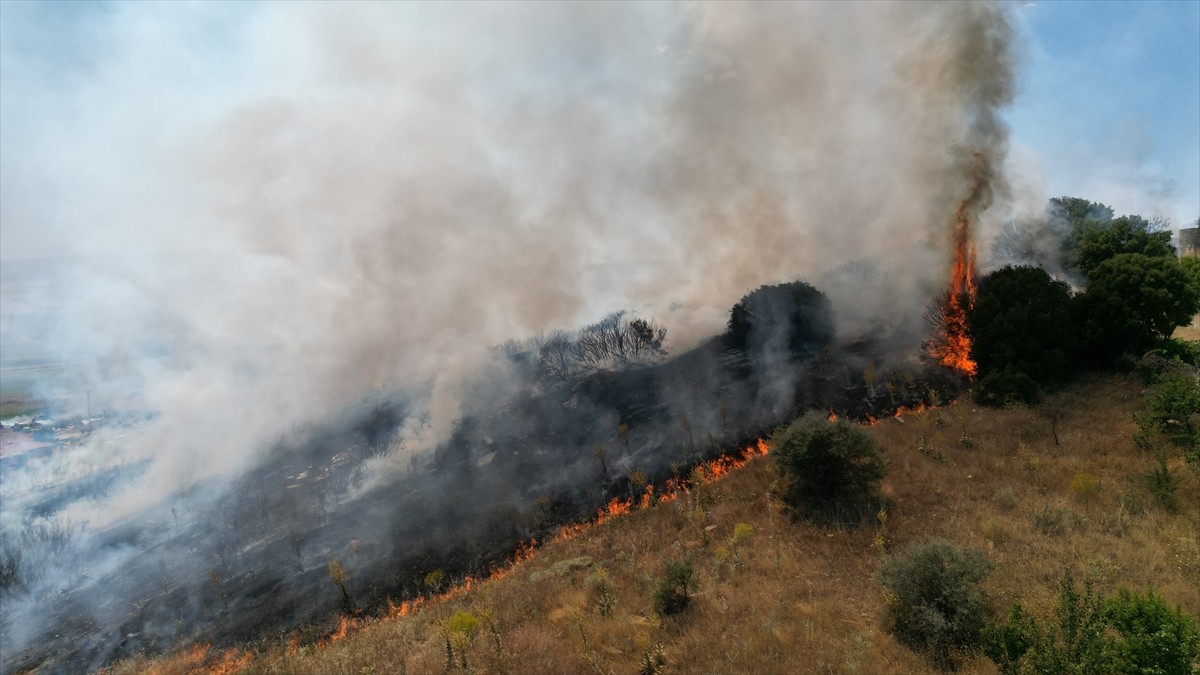 Manisa'nın Kula ilçesinde makilik alanda çıkan yangın kontrol altına alındı. 