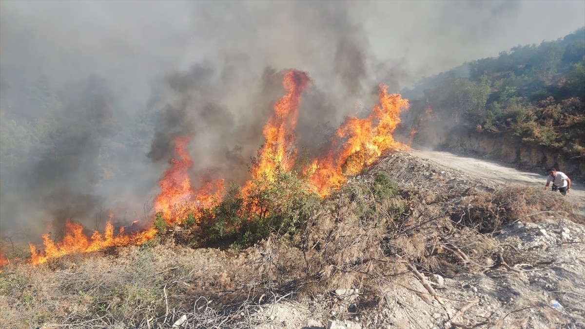 Manisa'nın Kula ilçesinde ormanlık alanda yangın çıktı.