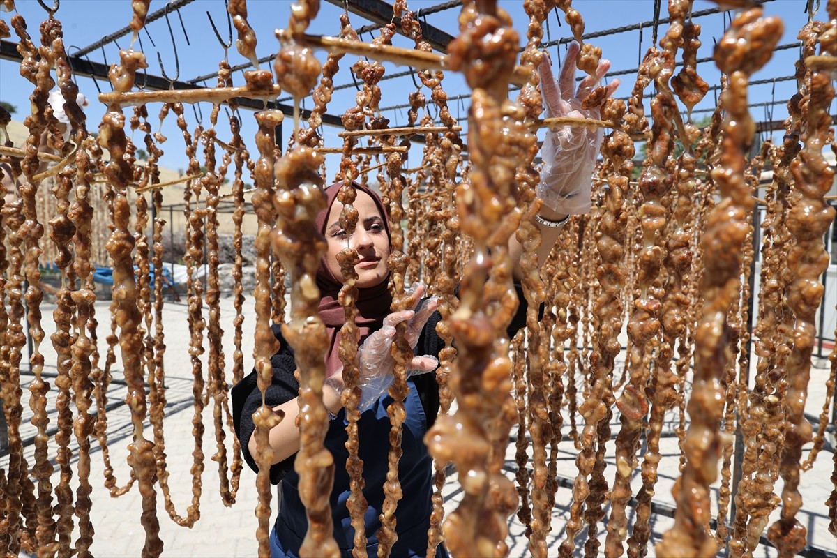 Mardin'de geleneksel yöntemlerle üzüm suyu ve cevizle hazırlanan cevizli sucuk üretimi, Kurban...